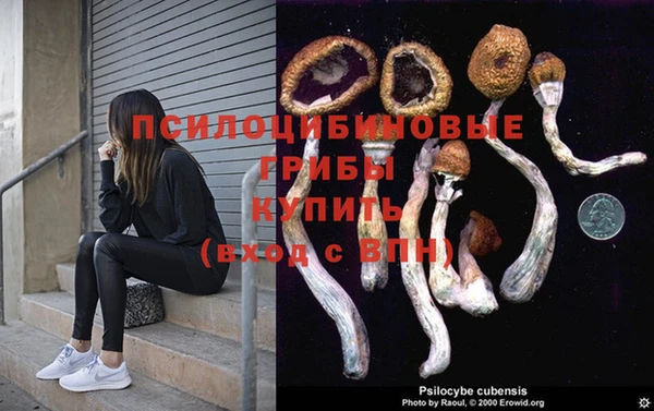 MESCALINE Богородицк